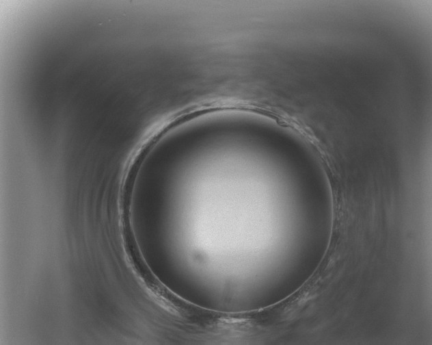 X0000060560055200511101614