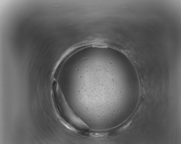 X0000060560056200511101614