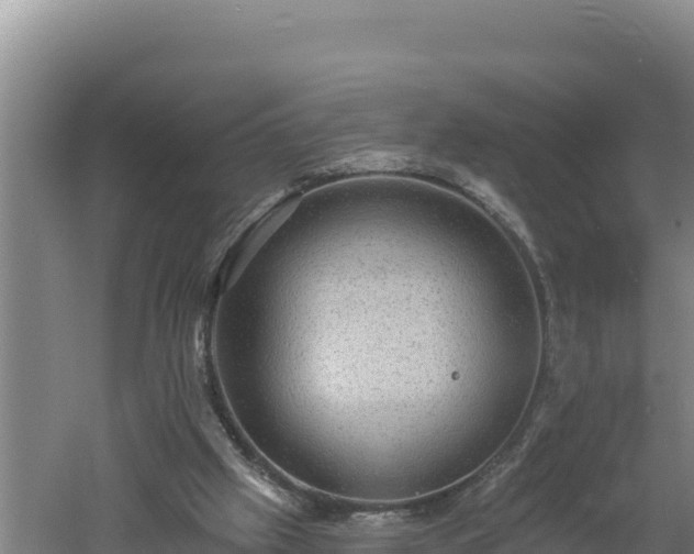 X0000060560057200511101614