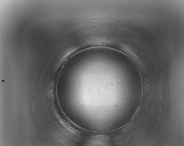 X0000060560058200511101614