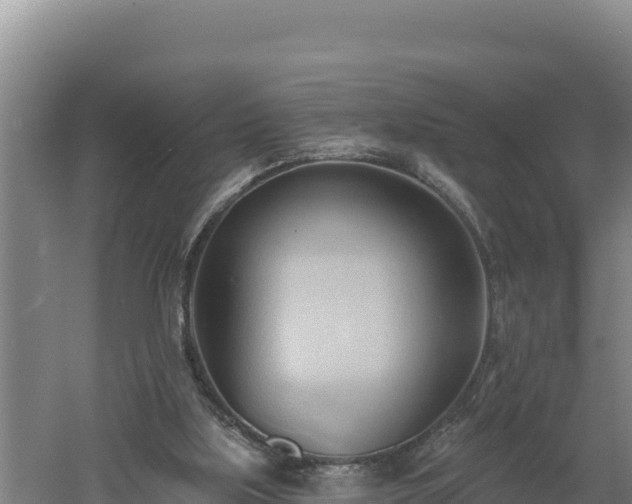 X0000060560059200511101614