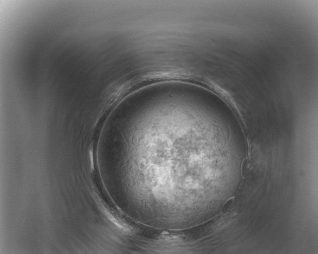 X0000060560061200511101614