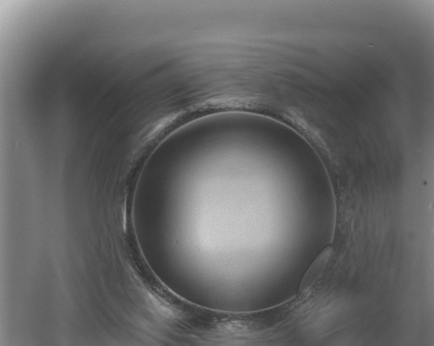 X0000060560062200511101614