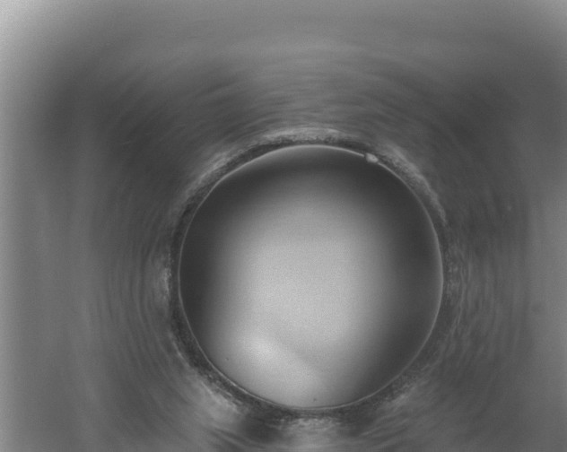 X0000060560063200511101614