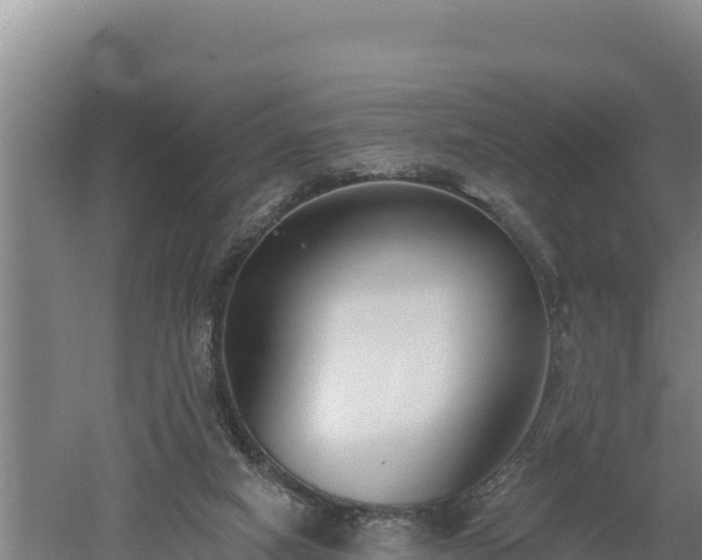 X0000060560066200511101614