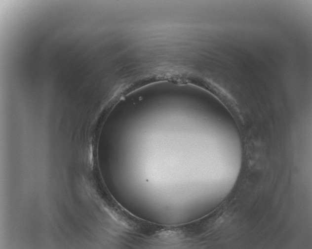 X0000060560067200511101614