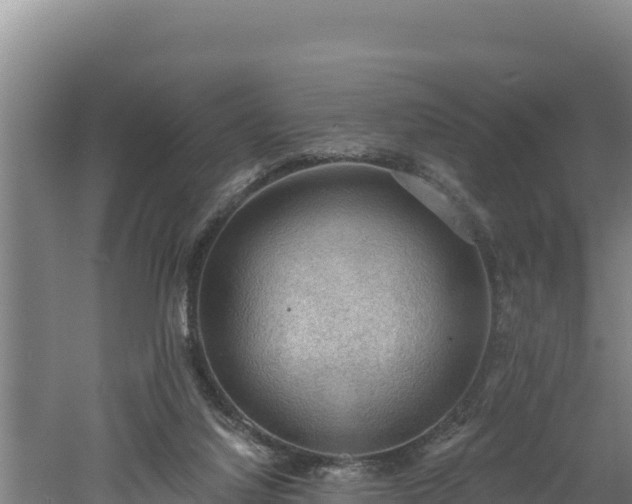 X0000060560068200511101614