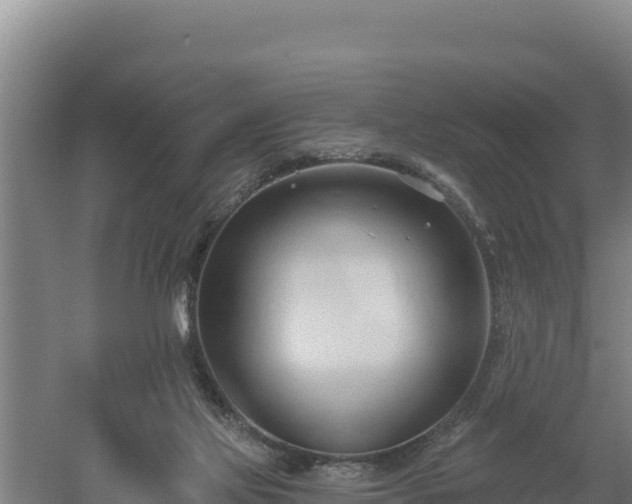 X0000060560069200511101614