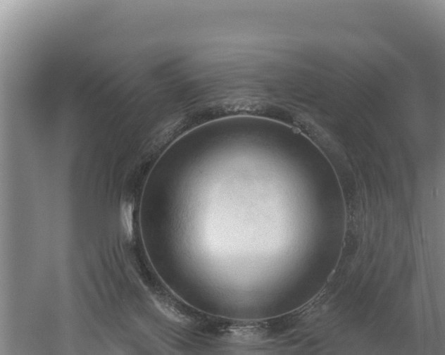 X0000060560070200511101614