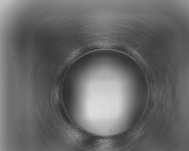 X0000060560071200511101614