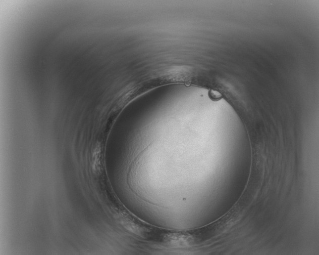 X0000060560073200511101614