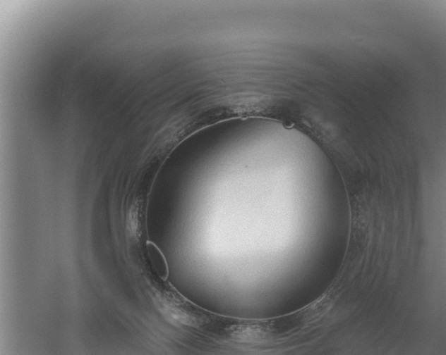 X0000060560074200511101614