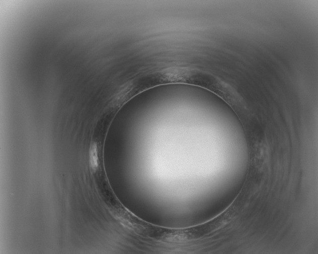 X0000060560075200511101614