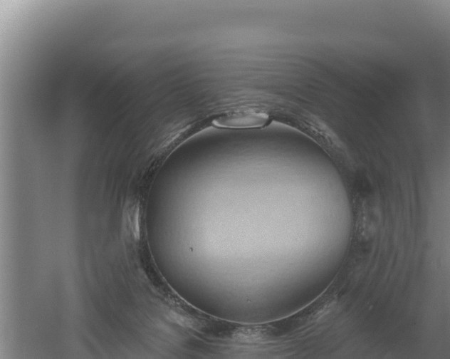 X0000060560076200511101614