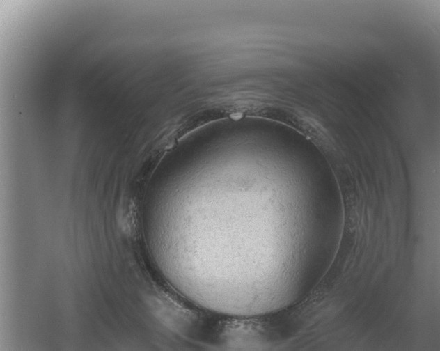 X0000060560077200511101614