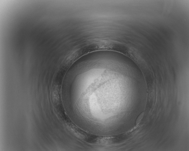 X0000060560078200511101614