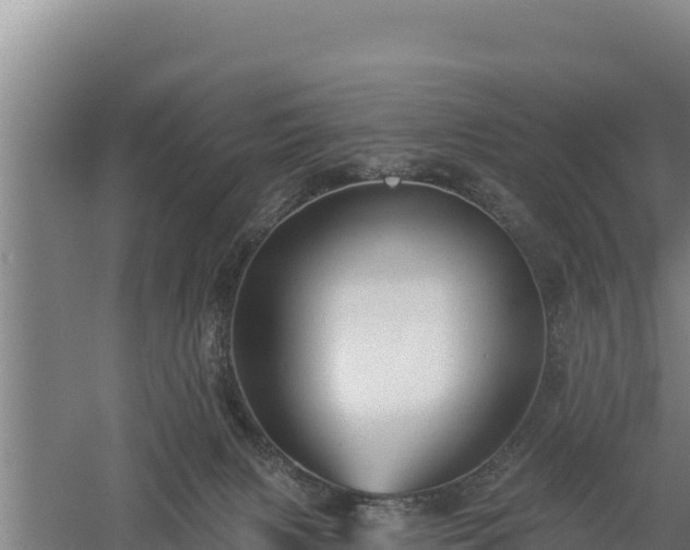 X0000060560079200511101614