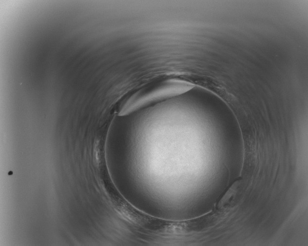 X0000060560080200511101614