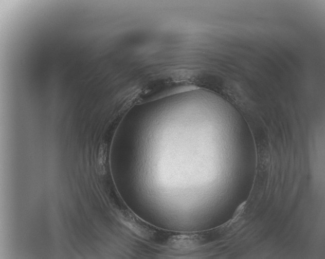 X0000060560082200511101614