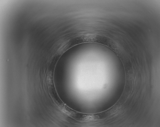 X0000060560083200511101614