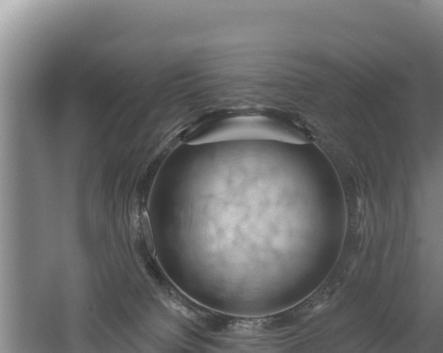 X0000060560084200511101614