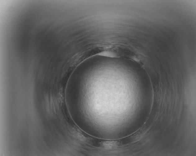 X0000060560085200511101614