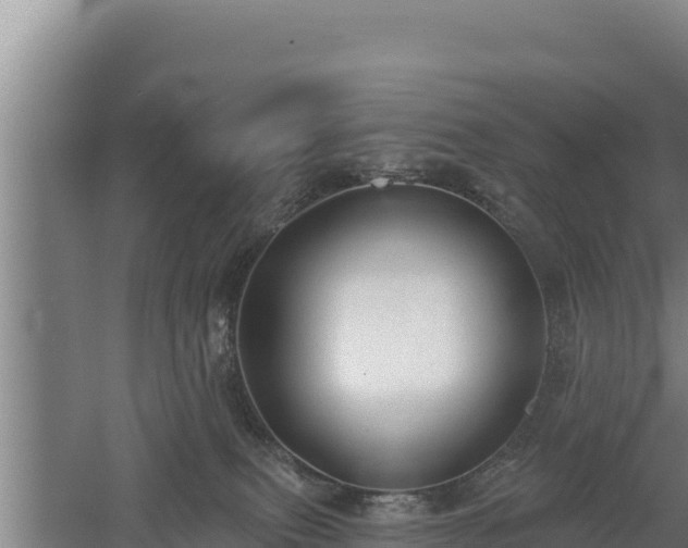 X0000060560087200511101614