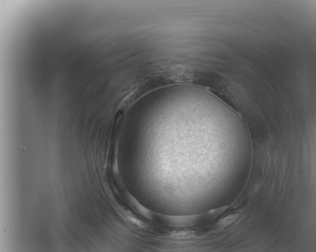 X0000060560088200511101615