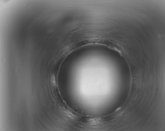 X0000060560089200511101615