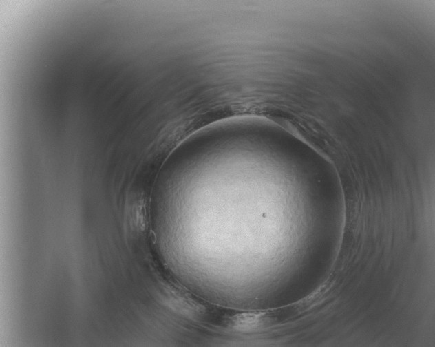 X0000060560090200511101615