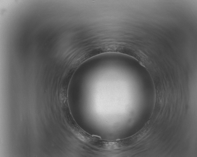 X0000060560091200511101615