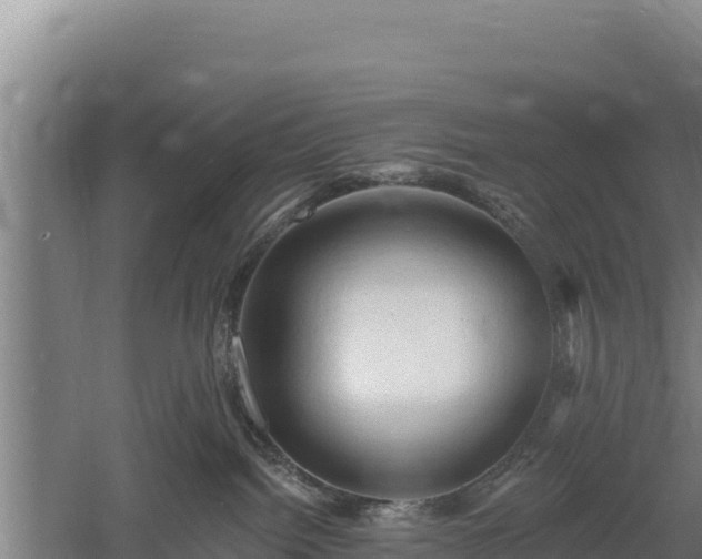 X0000060560092200511101615