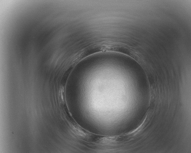 X0000060560094200511101615