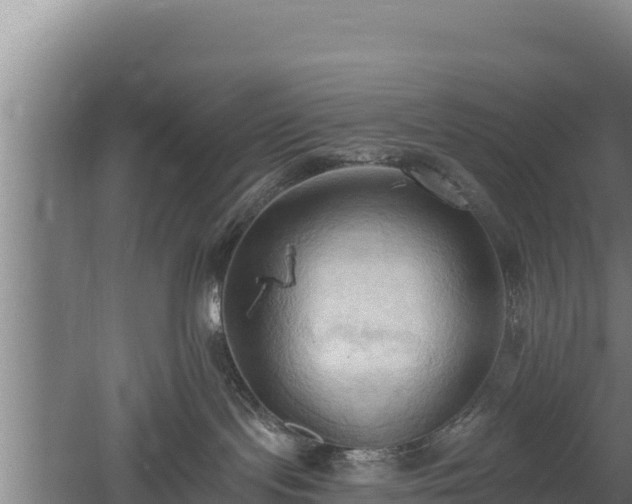 X0000060560095200511101615