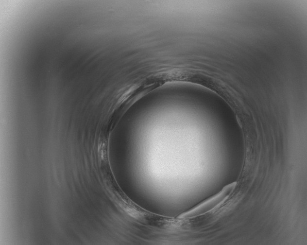 X0000060560096200511101615