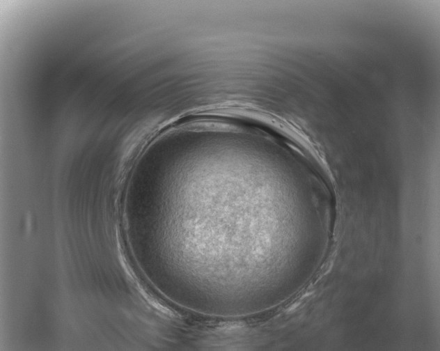 X0000060560097200511101614