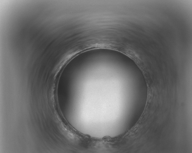 X0000060560098200511101614