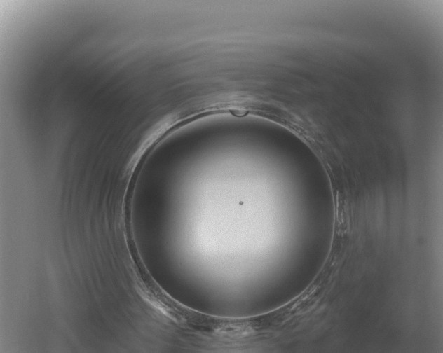 X0000060560099200511101614