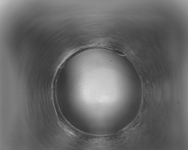 X0000060560100200511101614