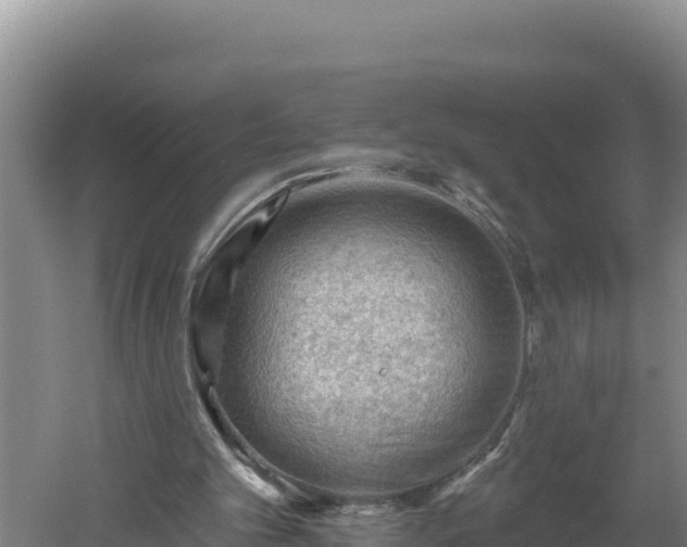 X0000060560101200511101614