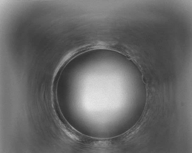 X0000060560102200511101614