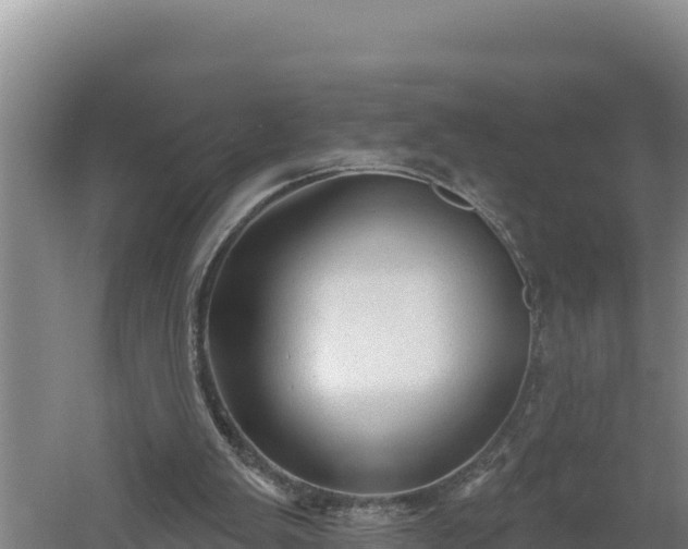 X0000060560103200511101614