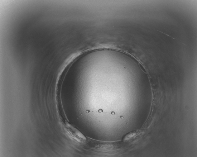 X0000060560104200511101614