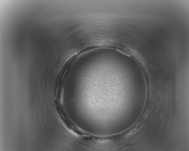 X0000060560105200511101614