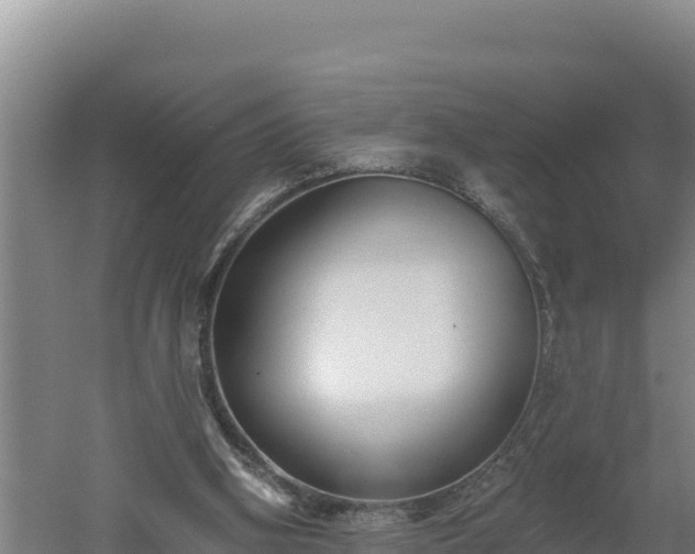 X0000060560106200511101614