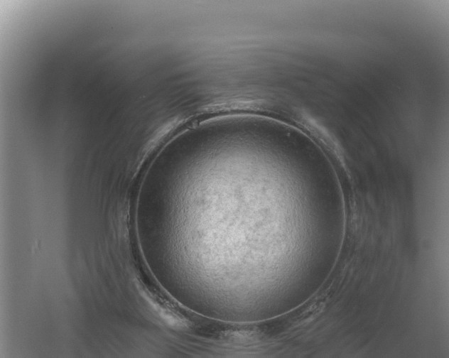 X0000060560107200511101614