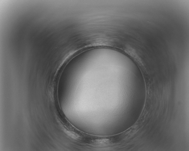 X0000060560108200511101614