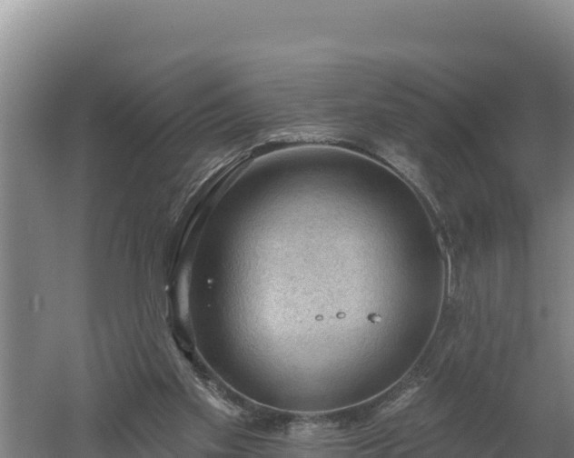 X0000060560109200511101614