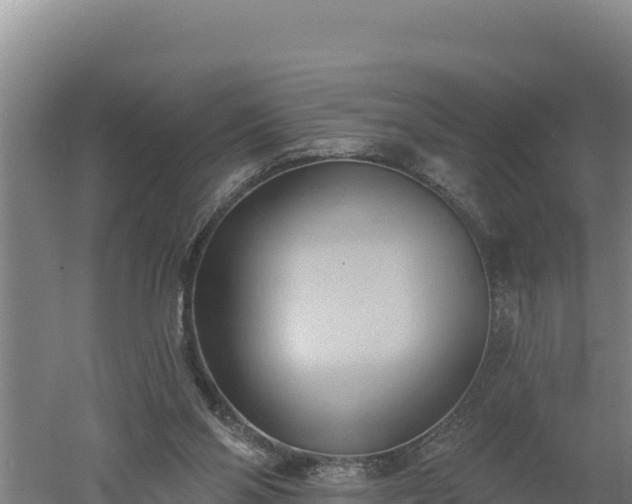 X0000060560110200511101614