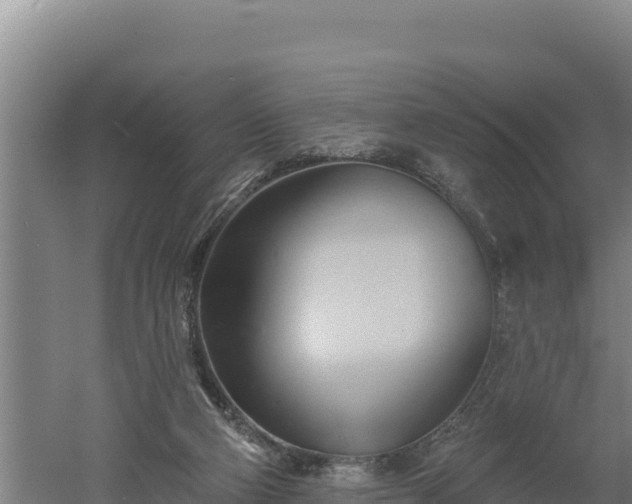 X0000060560114200511101614